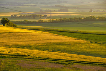 Rolling hills on sunset. Rural landscape. Green fields and farmlands, fresh vibrant colors