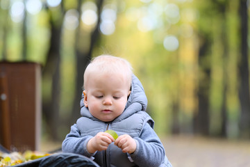 One year old baby boy in autumn park.