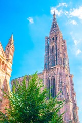 Fototapeta na wymiar Cathédrale de Strasbourg