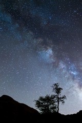 Milky Way rising diagonally over isolated and silhouetted tree on rocks in lower quarter of image