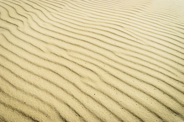 Fototapeta premium Harmonic pattern of rippled sand surface on beach. Climate change, global warming concept.