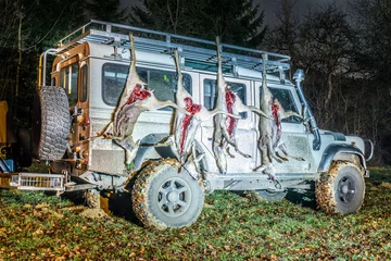 Selbstklebende Fototapete Ree Jagdstrecke mit erlegten Rehwild an einem Geländewagen