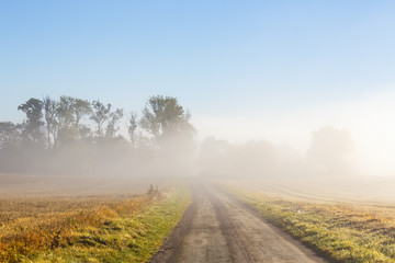 Morning mist over a road in the countryside