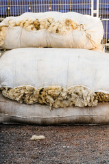 Bales of sheep fleeces ready for sale at a market.