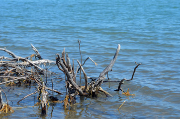 Balkhash lake, central Kazakhstan. Near Priozersk - former Soviet  anti-ballistic missile testing range Sary Shagan
