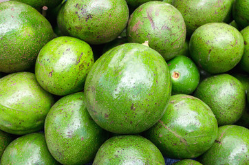green ripe avocado fruit group background