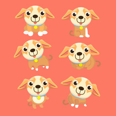 Cute chihuahua set in different poses.
