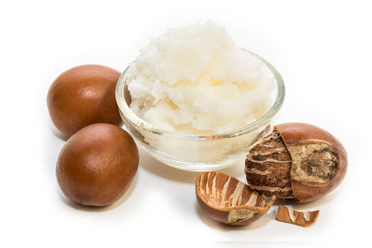 Shea nuts, with detail of its interior. Vitellaria paradoxa.