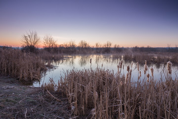 River and spring forest.