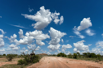 Tsavo East