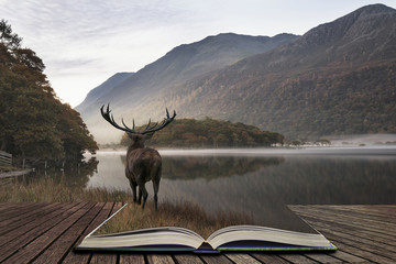 Stunning powerful red deer stag looks out across lake towards mountain landscape in Autumn scene...