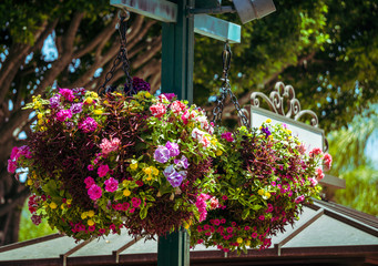 Hanging colorful flowerpot