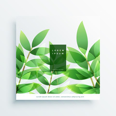 green leaves vector nature background card