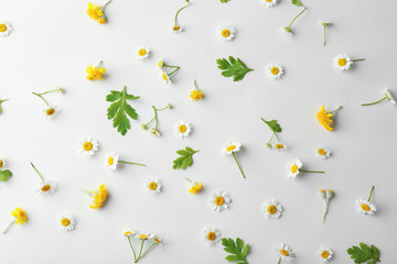 Scattered chamomile flowers on light background