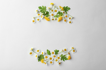 Frame made of field flowers on light background