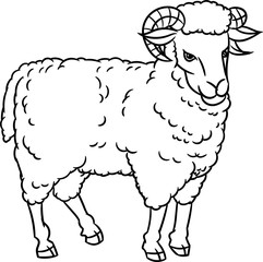 Hand drawing Sheep-Vector Illustration