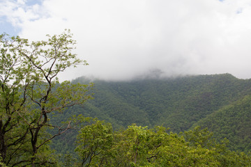 Obraz premium Clouds on the mountain.