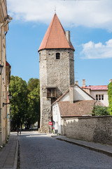 Fototapeta na wymiar Baszta - Tallinn