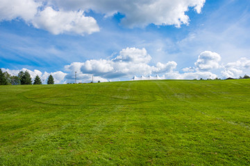 Fototapeta premium Peace Sign on Woodstock Hillside