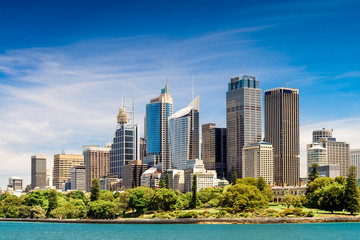 Naklejka premium Wieżowce w Sydney
