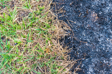 The grass caught fire