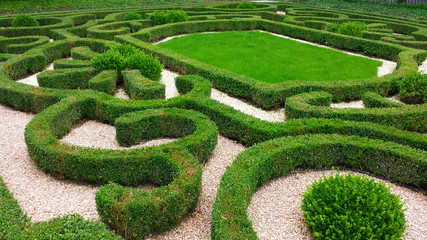 Ornamental hedges in the park, various boxwood shapes