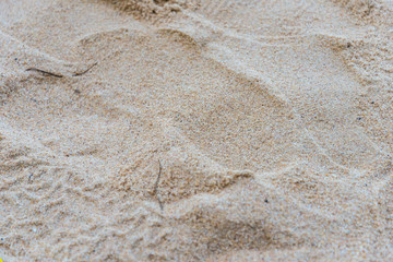 Footprints on the beach