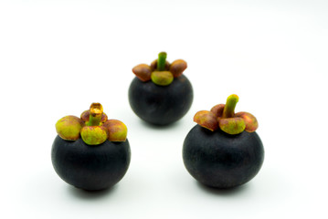 The purple mangosteen (Garcinia mangostana)