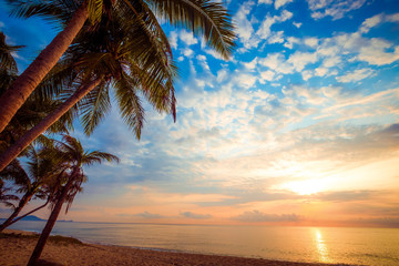 Fototapeta na wymiar Seascape of beautiful tropical beach with palm tree at sunrise. sea view beach in summer background.