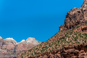Fototapeta na wymiar Mountain peaks of the Zion National Park, Utah, United States