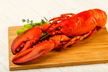 Lobster