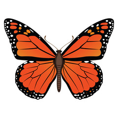 Векторный рисунок оранжевая бабочка