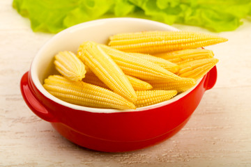 Young baby corn