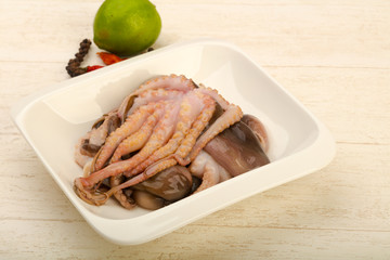 Raw octopus