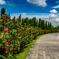 Concrete block Footpath