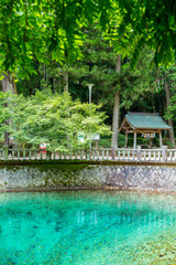 Beppu Benten Pond, Yamaguchi prefecture