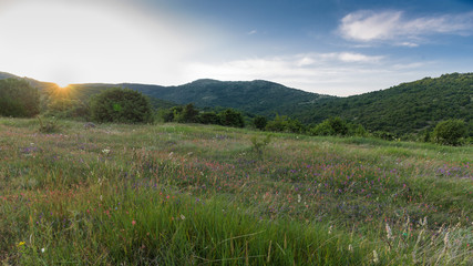 Obraz premium Landscape, sunny dawn in a field