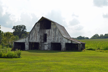 Fototapeta na wymiar Old, rundown barn in a field on a farm in the country