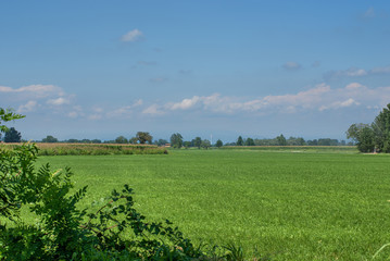 terreno agricolo