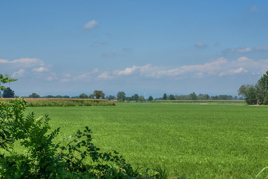 terreno agricolo