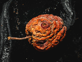 rotten apple in black background