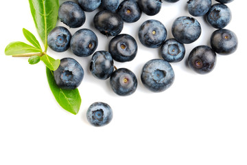 Blueberries with leaves on white background.