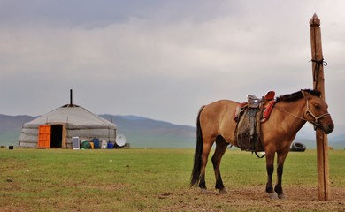 Yourte en Mongolie