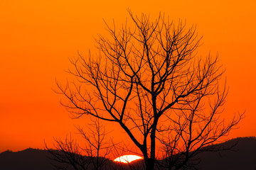 colorful dramatic sky with cloud at sunset