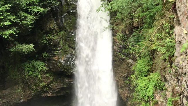 Palovit waterfall in rize turkey