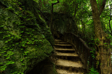 Stairway to nature