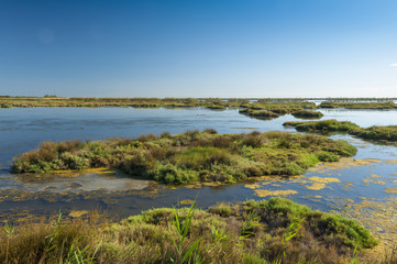 Fototapeta na wymiar Landscape of the lagoon at the Po delta river national park, Italy.
