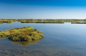 Obraz premium Landscape of the lagoon at the Po delta river national park, Italy.
