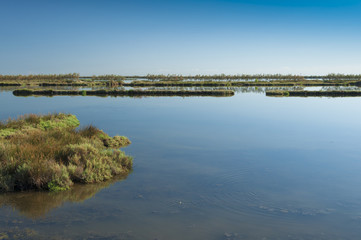 Naklejka na ściany i meble Landscape of the lagoon at the Po delta river national park, Italy.