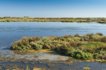 Landscape of the lagoon at the Po delta river national park, Adriatic Sea, Rovigo, Veneto, Italy.